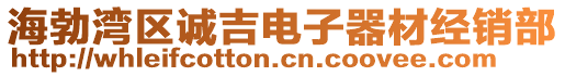 海勃灣區(qū)誠吉電子器材經銷部