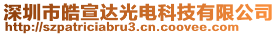 深圳市皓宣達光電科技有限公司