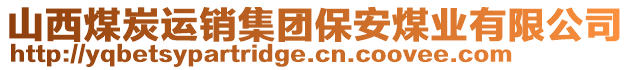 山西煤炭運(yùn)銷集團(tuán)保安煤業(yè)有限公司