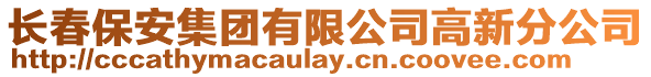 長春保安集團有限公司高新分公司