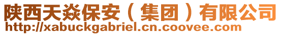陜西天焱保安(集團(tuán))有限公司