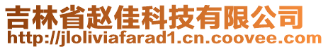 吉林省趙佳科技有限公司