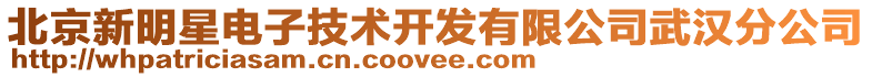 北京新明星電子技術開發有限公司武漢分公司