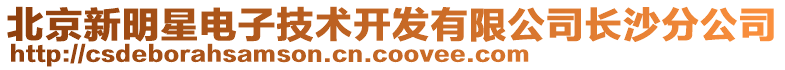 北京新明星電子技術開發有限公司長沙分公司