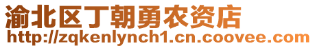 渝北區丁朝勇農資店