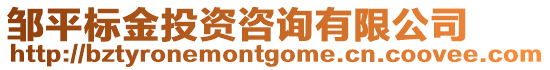 鄒平標金投資咨詢有限公司