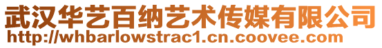 武汉华艺百纳艺术传媒有限公司