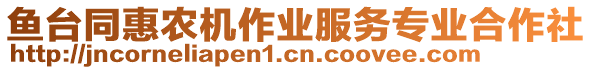 魚(yú)臺(tái)同惠農(nóng)機(jī)作業(yè)服務(wù)專(zhuān)業(yè)合作社