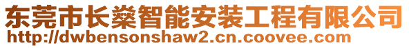 東莞市長燊智能安裝工程有限公司