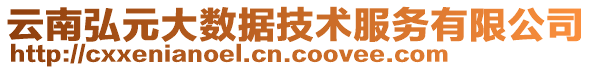 云南弘元大數(shù)據(jù)技術(shù)服務(wù)有限公司