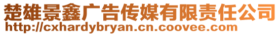 楚雄景鑫廣告?zhèn)髅接邢挢?zé)任公司