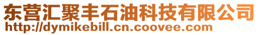 東營(yíng)匯聚豐石油科技有限公司