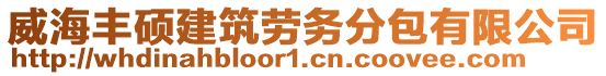 威海豐碩建筑勞務分包有限公司