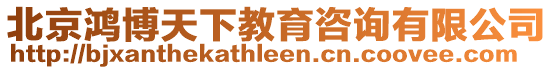 北京鸿博天下教育咨询有限公司