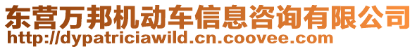 東營萬邦機動車信息咨詢有限公司