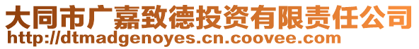 大同市廣嘉致德投資有限責任公司