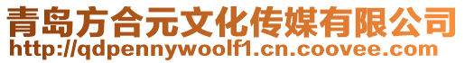 青島方合元文化傳媒有限公司