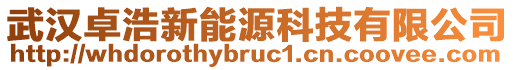 武漢卓浩新能源科技有限公司