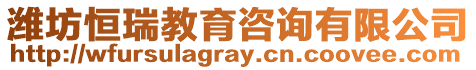 濰坊恒瑞教育咨詢有限公司