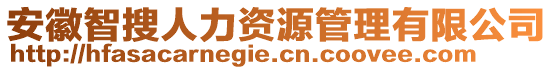 安徽智搜人力資源管理有限公司