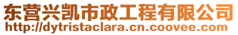 東營興凱市政工程有限公司