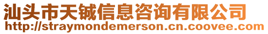 汕頭市天鋮信息咨詢有限公司