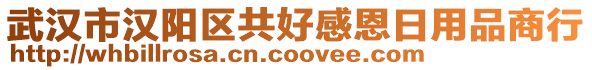 武漢市漢陽區(qū)共好感恩日用品商行