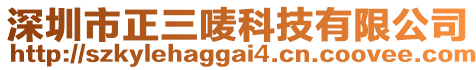 深圳市正三嘜科技有限公司