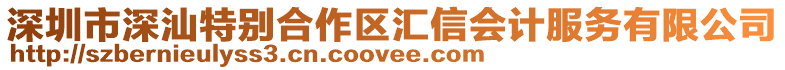 深圳市深汕特別合作區匯信會計服務有限公司