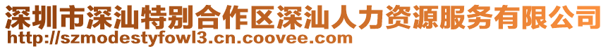 深圳市深汕特別合作區(qū)深汕人力資源服務(wù)有限公司