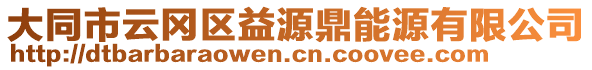 大同市云岡區(qū)益源鼎能源有限公司