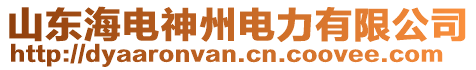 山東海電神州電力有限公司