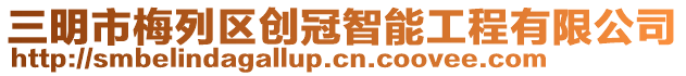 三明市梅列區創冠智能工程有限公司