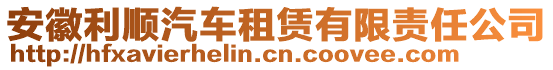 安徽利順汽車租賃有限責(zé)任公司