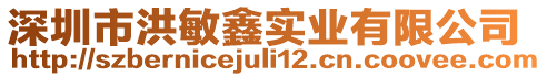 深圳市洪敏鑫實(shí)業(yè)有限公司