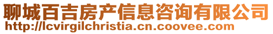 聊城百吉房產信息咨詢有限公司