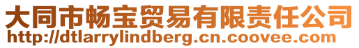 大同市暢寶貿易有限責任公司