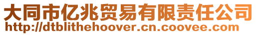 大同市億兆貿(mào)易有限責(zé)任公司