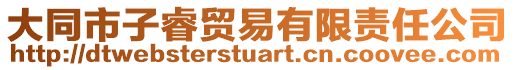 大同市子睿貿(mào)易有限責(zé)任公司