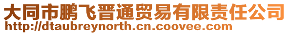 大同市鵬飛晉通貿易有限責任公司