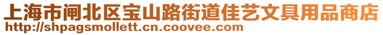 上海市閘北區寶山路街道佳藝文具用品商店