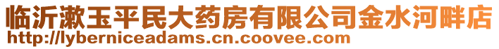 臨沂漱玉平民大藥房有限公司金水河畔店