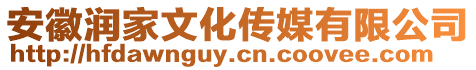 安徽潤家文化傳媒有限公司