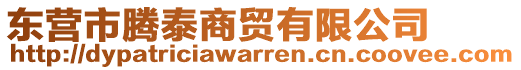 東營市騰泰商貿有限公司