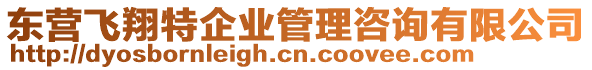 東營飛翔特企業(yè)管理咨詢有限公司