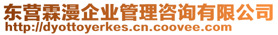 東營(yíng)霖漫企業(yè)管理咨詢有限公司