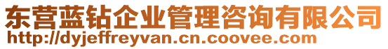 東營藍(lán)鉆企業(yè)管理咨詢有限公司