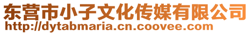 東營市小子文化傳媒有限公司