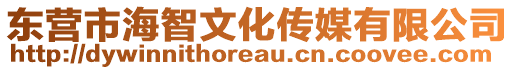 東營市海智文化傳媒有限公司