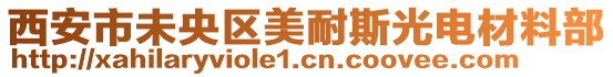 西安市未央?yún)^(qū)美耐斯光電材料部